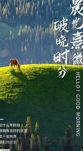 91制片厂麻豆传媒-释放真实魅力的自由之窗，91制片厂与麻豆传媒的探索之旅