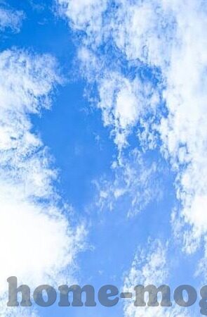 大象传媒网站是多少-探寻大象传媒的数字世界，一场互联网的奇妙之旅