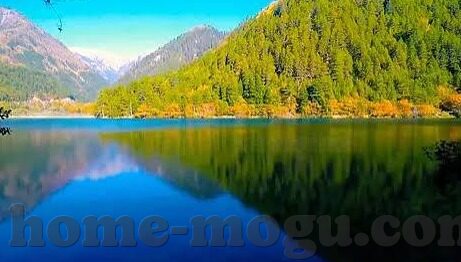 麻豆av影视网站-麻豆av影视网站的非法性质与警醒