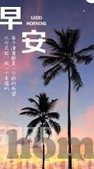 麻豆传媒映画app安卓-揭秘麻豆传媒映画App，安卓平台的视觉盛宴与内容争议