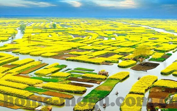 沈樵av麻豆新来的技师-沈樵案与AV行业的兴起，新来的技师背后的社会反思