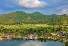 视频免费成人-视频免费成人，网络时代的文化新现象