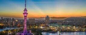 糖心果app-梦幻之旅，探索糖心果app的奇妙世界
